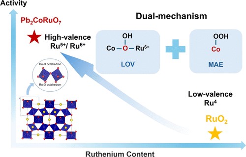 20250802-12.jpg 20250802-12.jpg