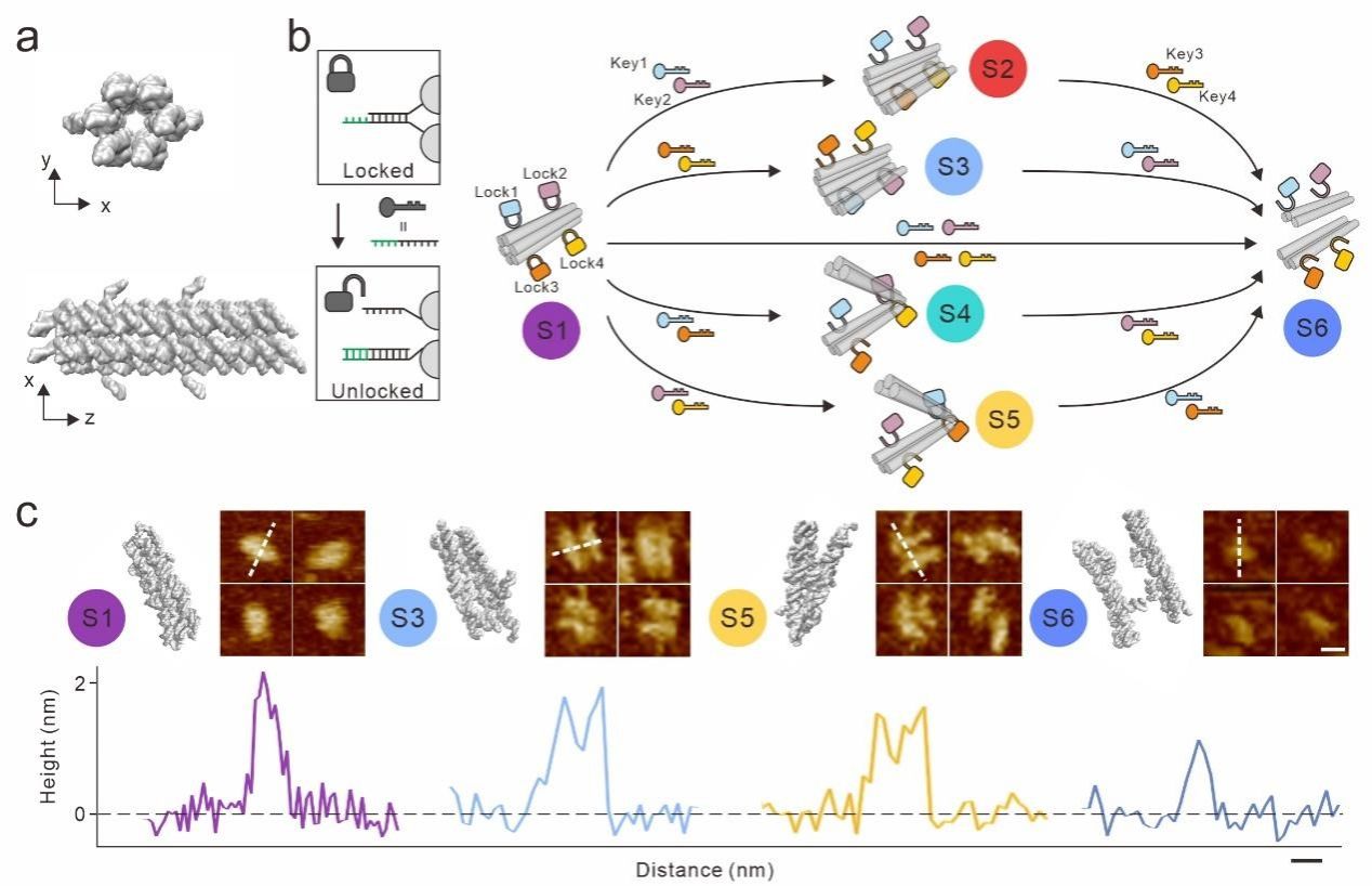 20230821-10.jpg 20230821-10.jpg