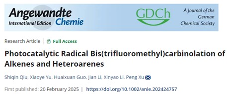 20250222-1.jpg 20250222-1.jpg