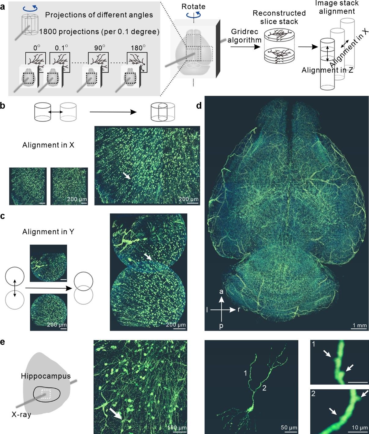 20251002-12.jpg 20251002-12.jpg